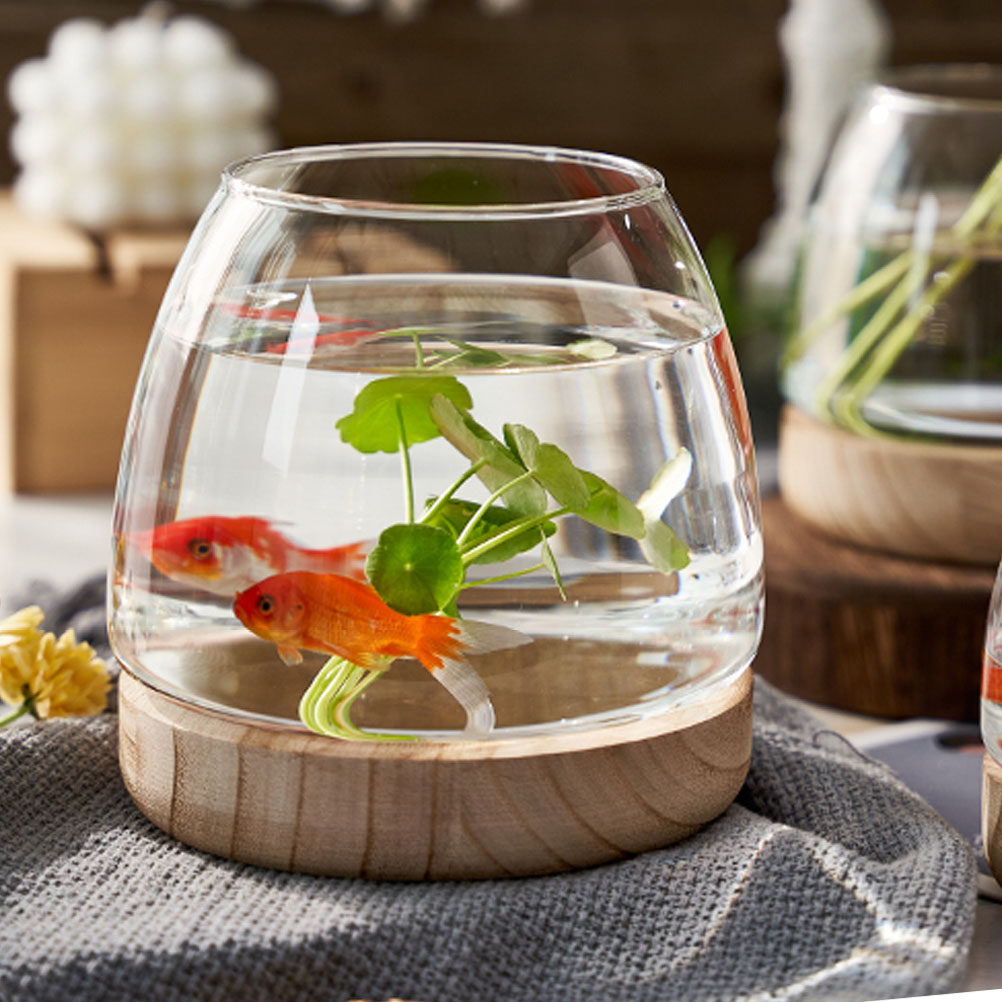 Aquarium Planted Plants - 1Set Premium Glass Hydroponic Plant Terrarium