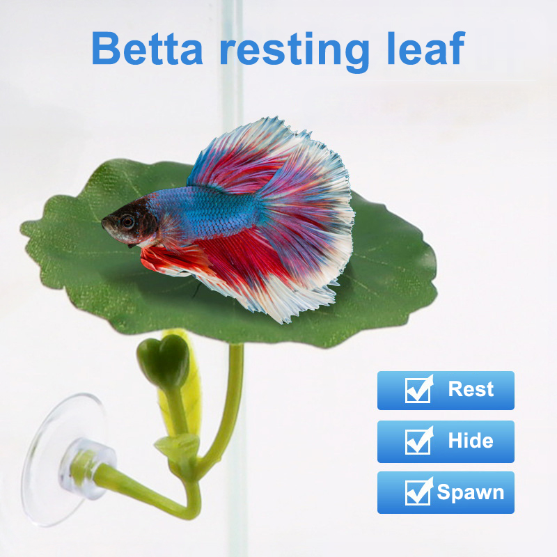 Planted Aquarium For Betta - 1 Pc Green Leaf Betta Fish