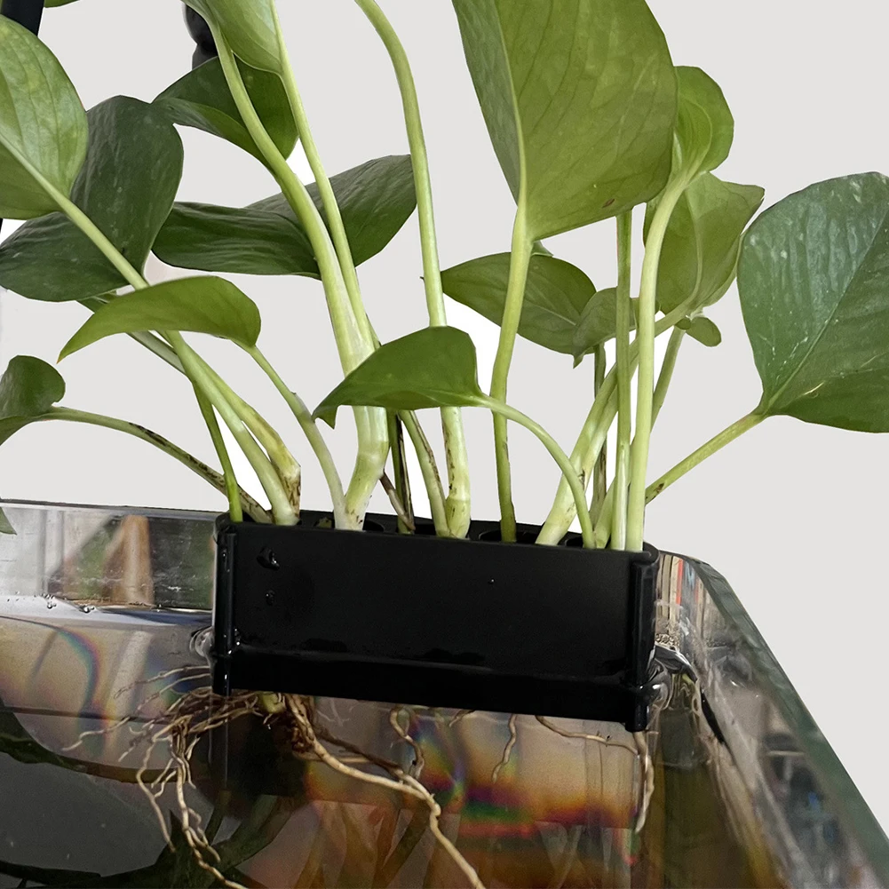 Planted Aquarium Aquascape - S/L Hanging Aquarium Plant Holder Aquatic
