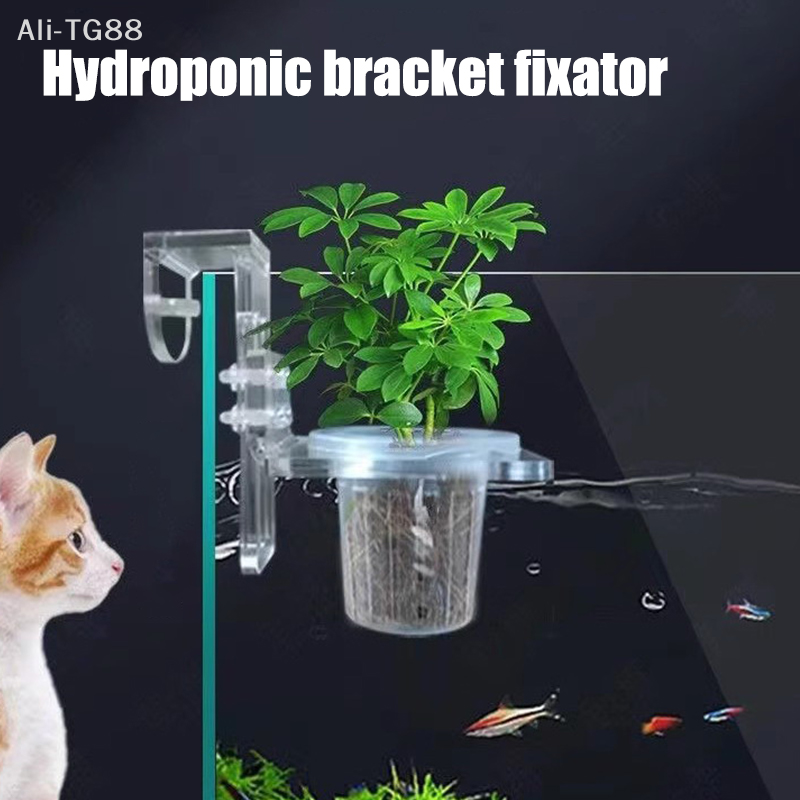 Emersed Plants Aquarium - Hanging Aquarium Plant Holder with Hole