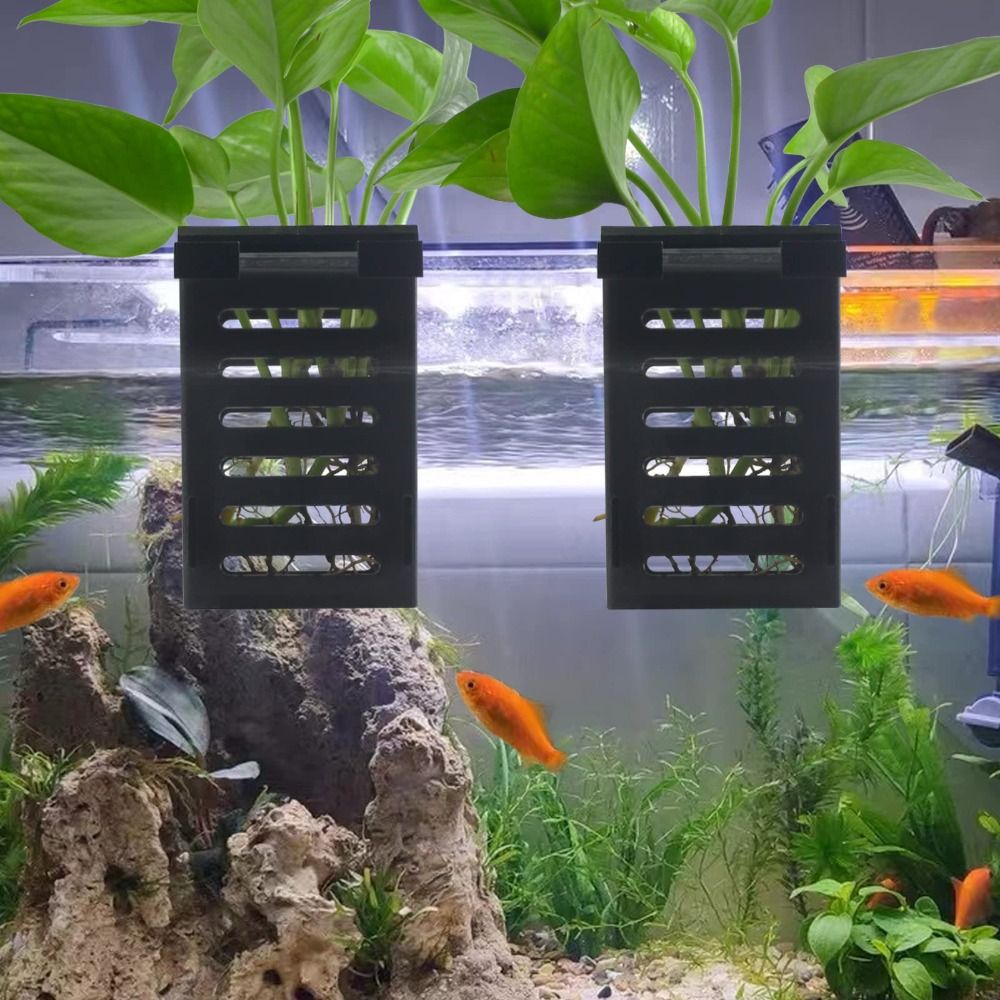 Water Plant Landscape Aquarium - Emersed Plants Aquarium incelemesi ve fiyatı