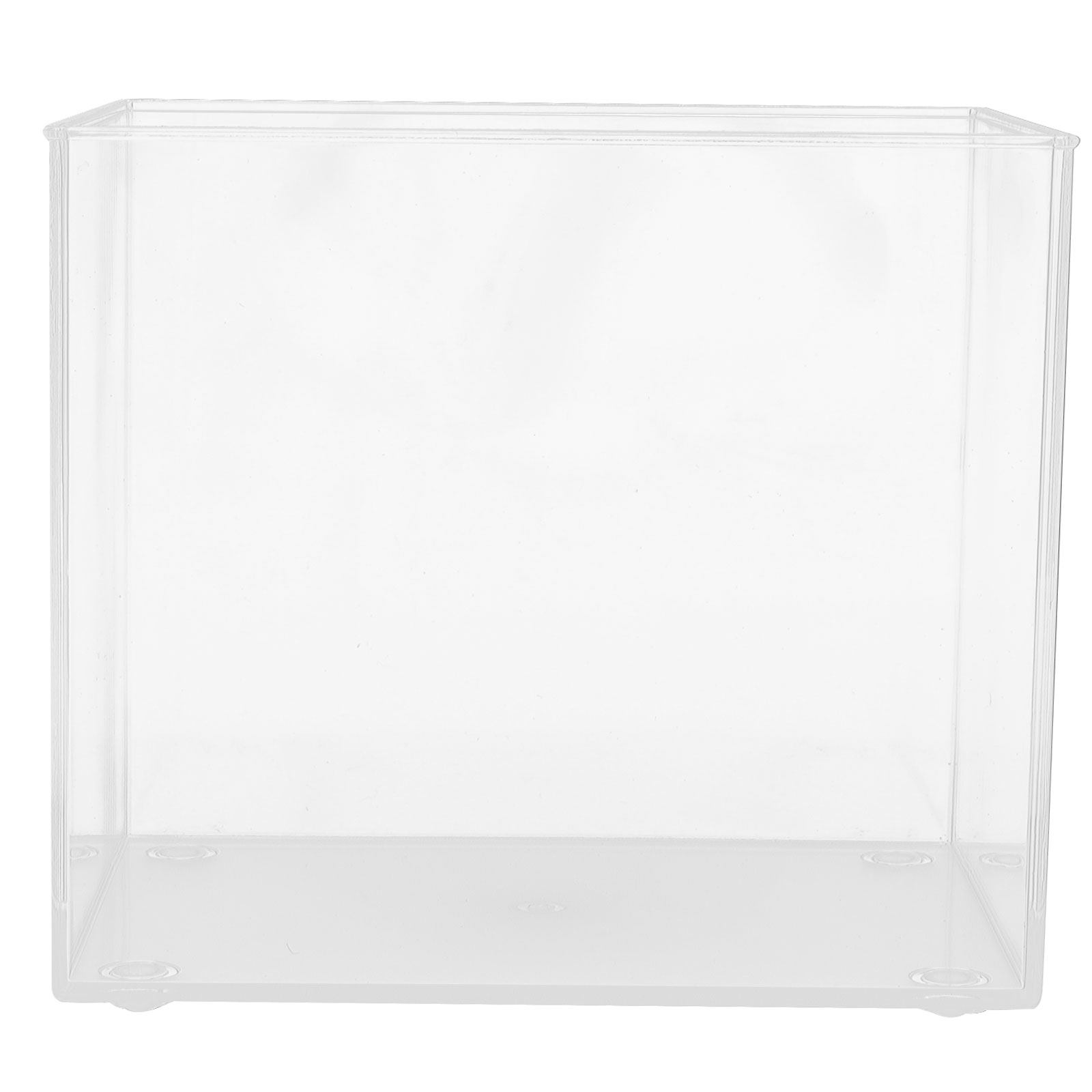 Desktop Mini Aquarium for Bett - Planted Aquarium For Betta incelemesi ve fiyatı