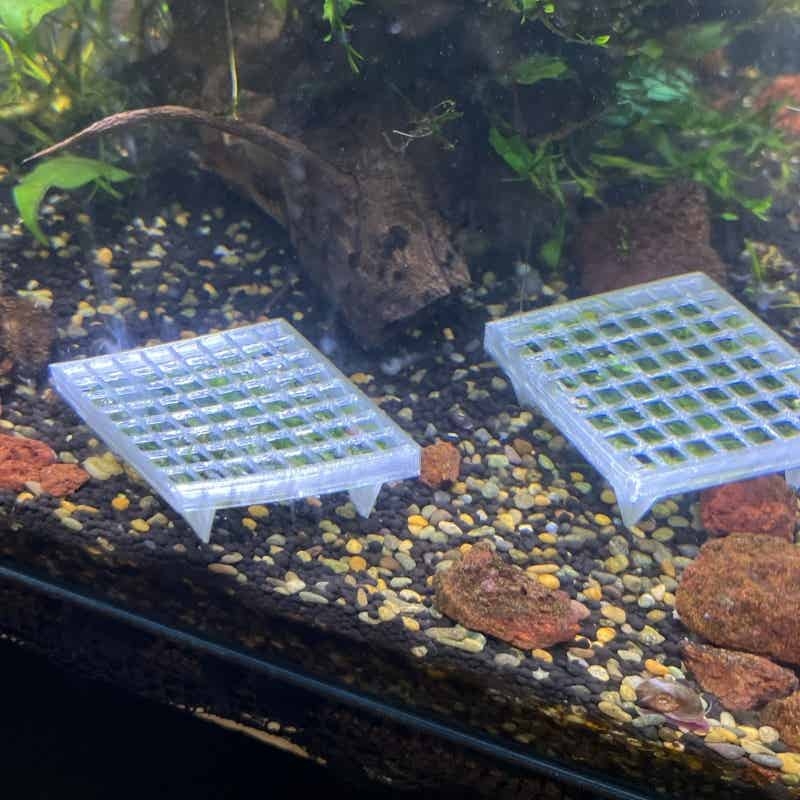 Aquarium Moss Holder with Stan - Aquarium Plant Echinodorus incelemesi ve fiyatı