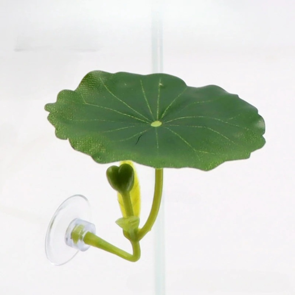 Lotus leaf Betta Fish Hammock  - Planted Aquarium Aquascape incelemesi ve fiyatı