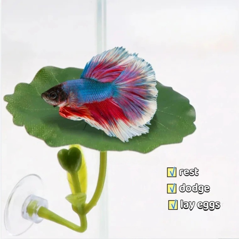 Lotus leaf Betta Fish Hammock  - Planted Aquarium Aquascape incelemesi ve fiyatı
