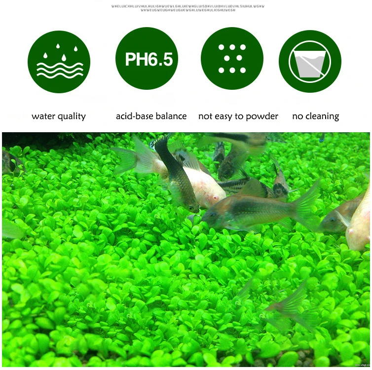 Fish Tank Water Grass Mud Plan - Aquarium Plant Liquid Fertilizer incelemesi ve fiyatı