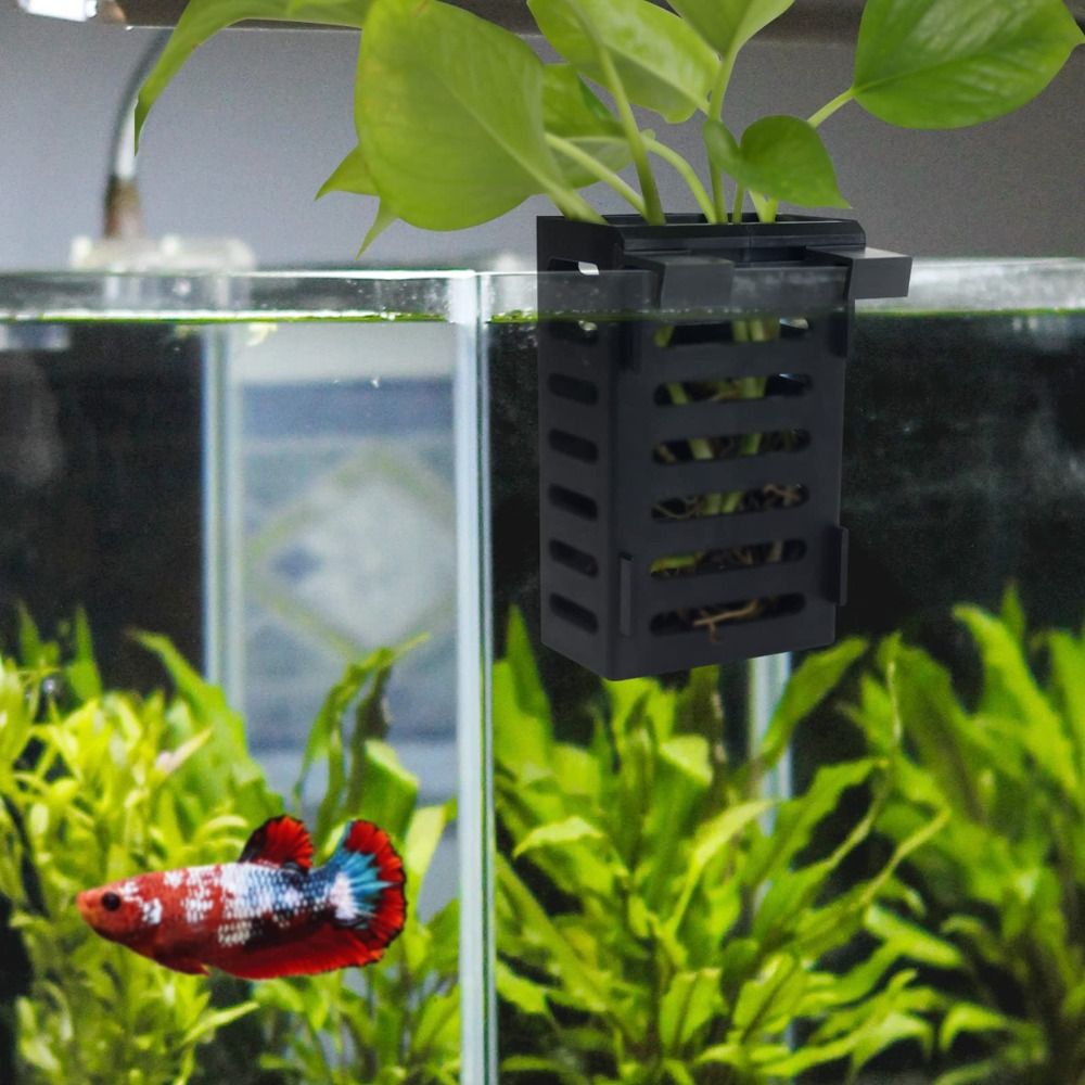 Water Plant Landscape Aquarium - Emersed Plants Aquarium incelemesi ve fiyatı