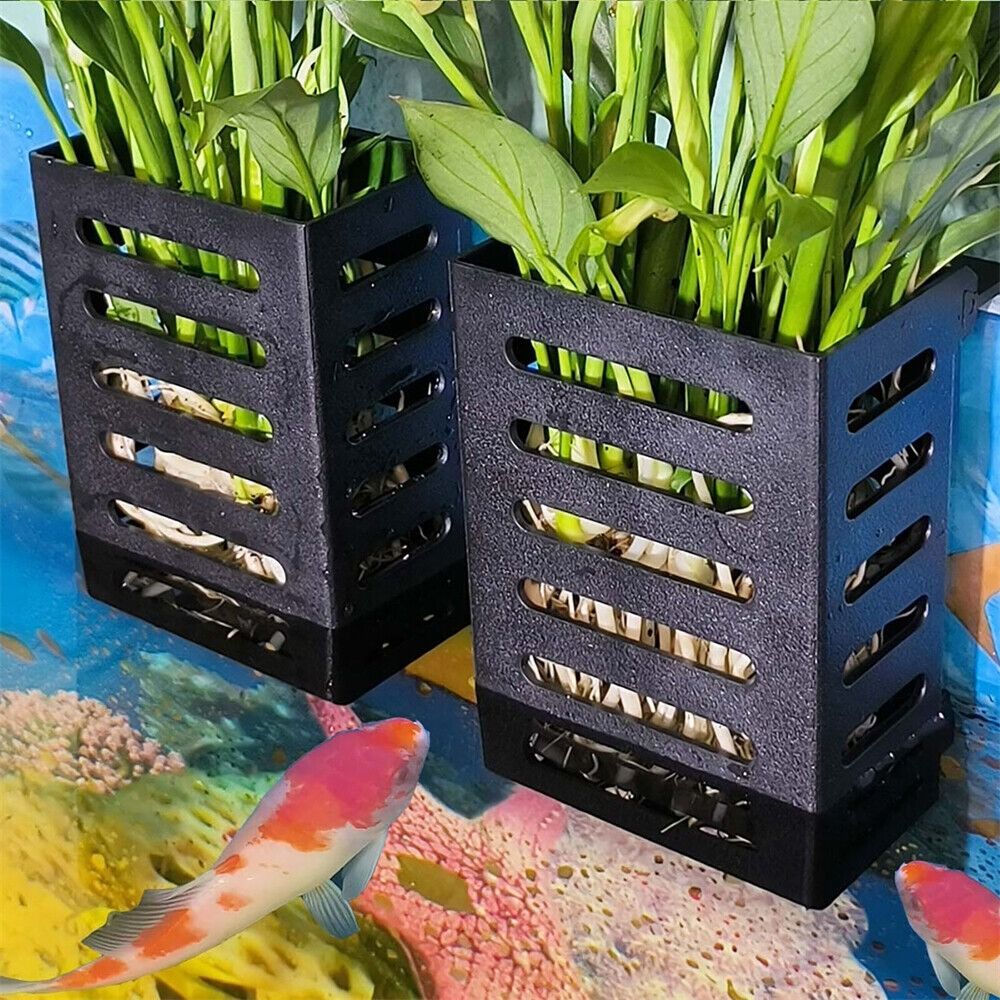 Water Plant Landscape Aquarium - Emersed Plants Aquarium incelemesi ve fiyatı