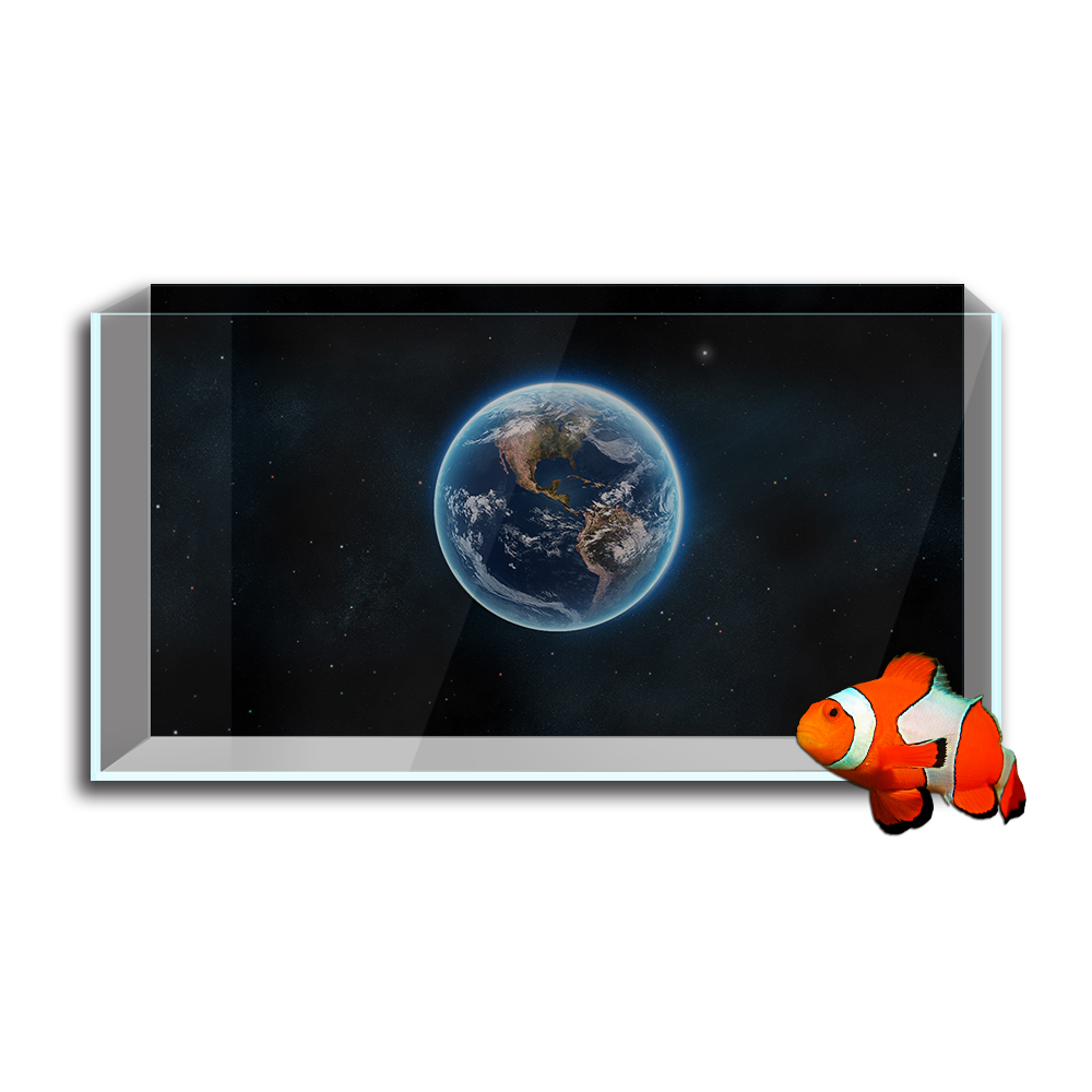 Aquarium Fish Tank  Background - Aquarium Planet incelemesi ve fiyatı