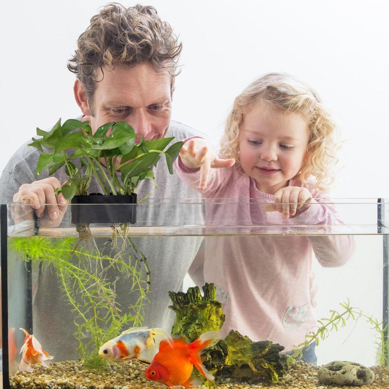 Hanging Aquarium Plant Holder  - Emersed Plants Aquarium incelemesi ve fiyatı