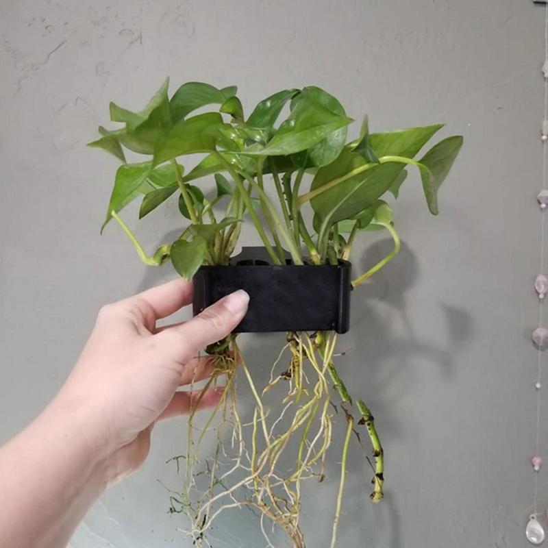 Hanging Aquarium Plant Holder  - Emersed Plants Aquarium incelemesi ve fiyatı