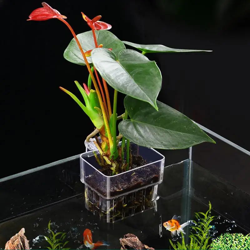 Aquarium Fish Tank Plant Holde - Emersed Plants Aquarium incelemesi ve fiyatı