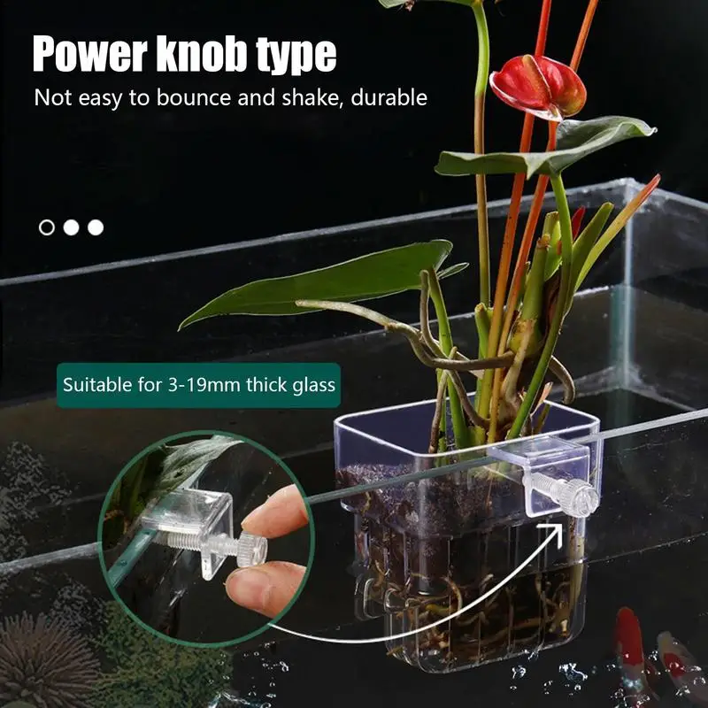 Aquarium Fish Tank Plant Holde - Emersed Plants Aquarium incelemesi ve fiyatı