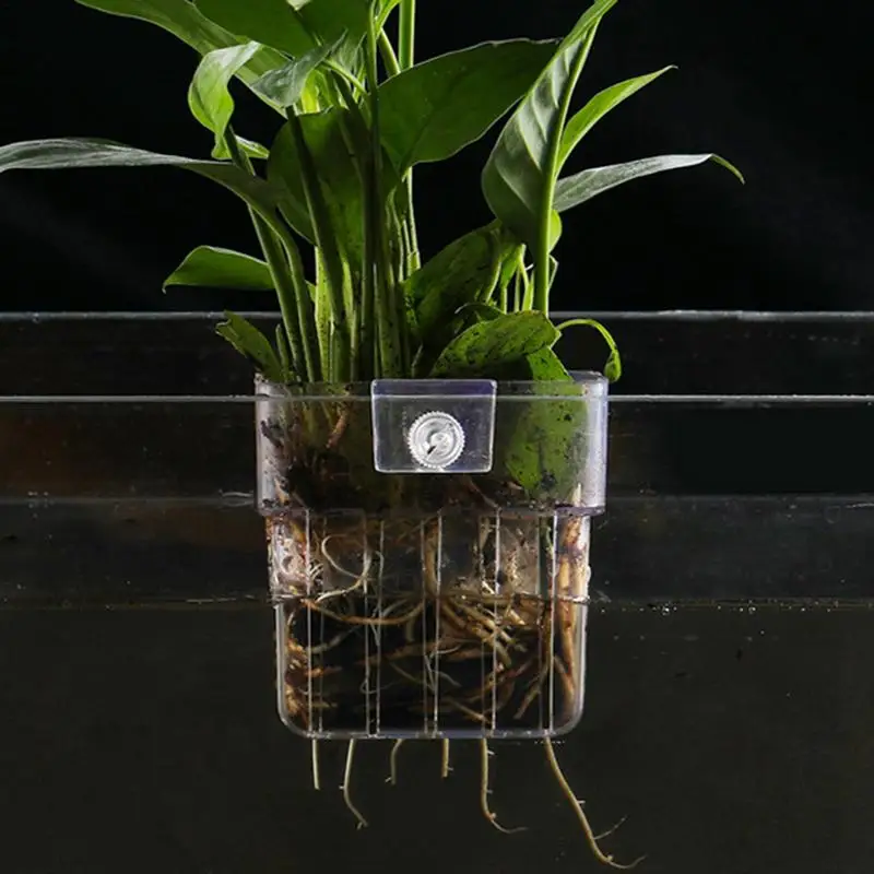 Aquarium Fish Tank Plant Holde - Emersed Plants Aquarium incelemesi ve fiyatı