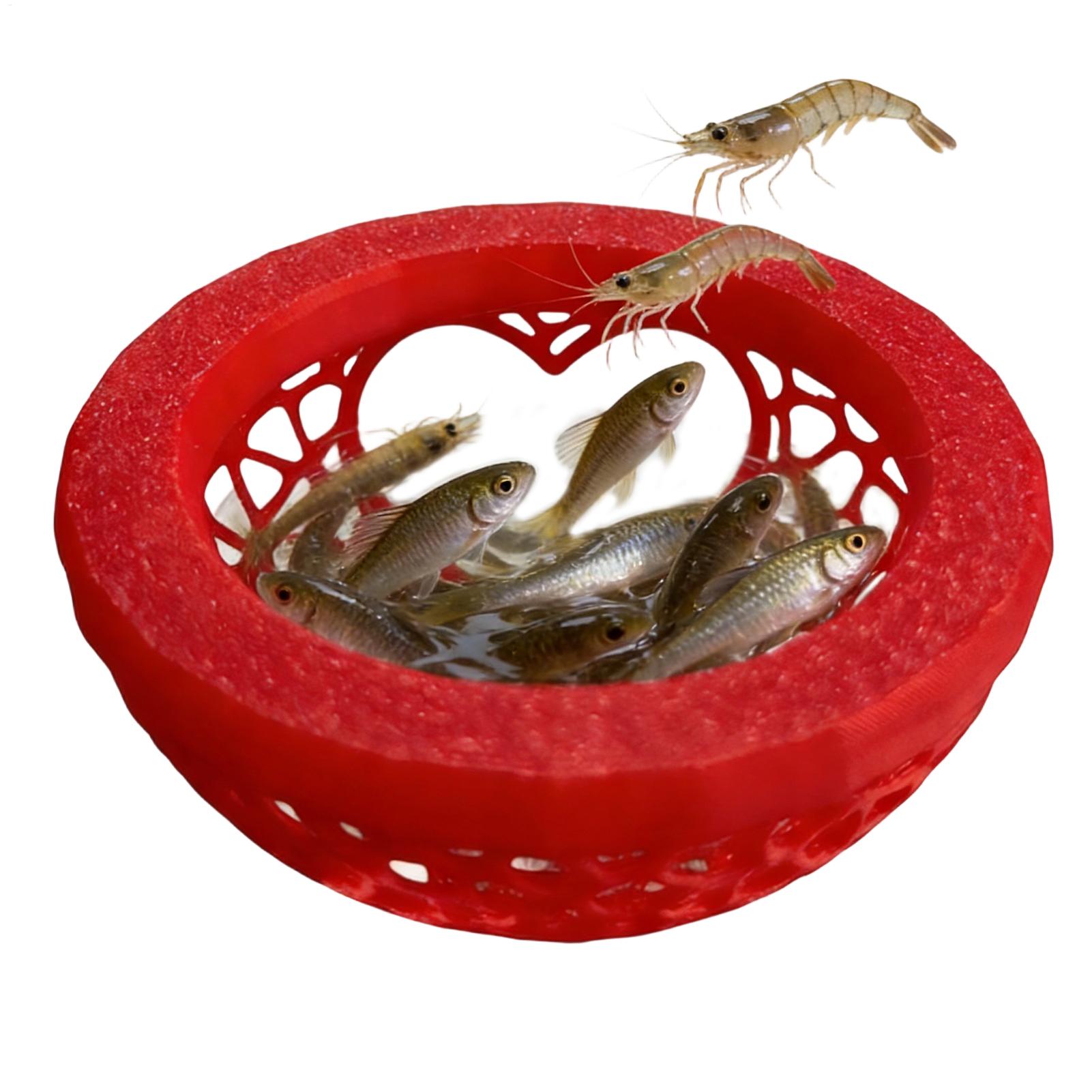 Floating betta shelter Betta h - Planted Aquarium For Betta incelemesi ve fiyatı