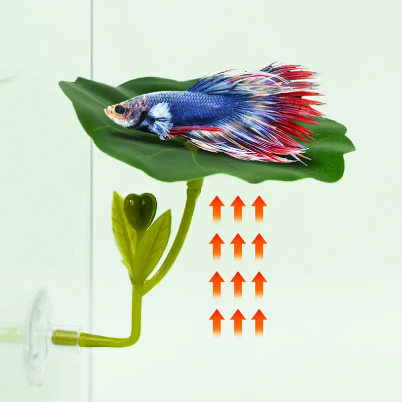 1 Pc Green Leaf Hammock For Be - Planted Aquarium For Betta incelemesi ve fiyatı