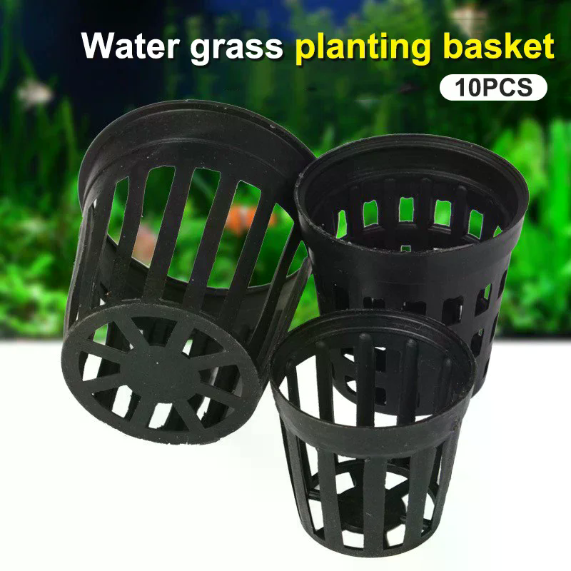 10Pcs Aquarium Flower Basket A - Aquarium Plant Grass incelemesi ve fiyatı