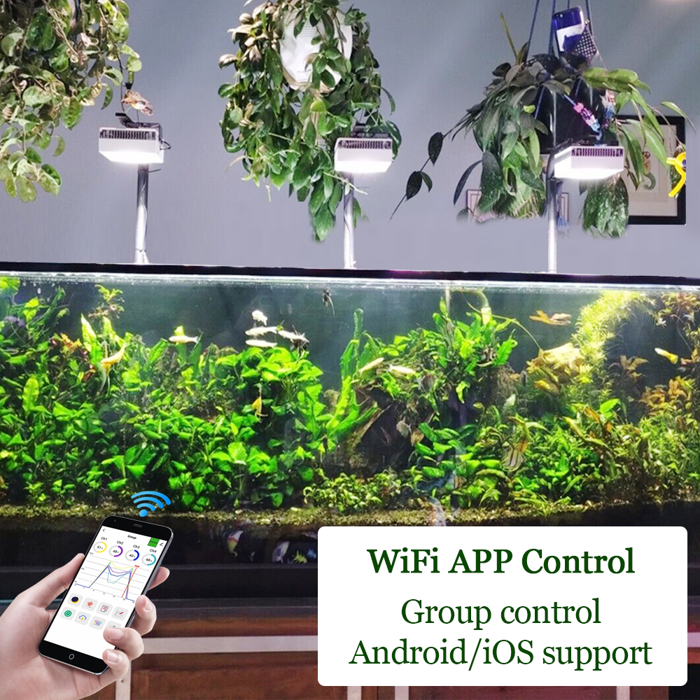PopBloom Professional Planted  - Planted Aquarium Freshwater incelemesi ve fiyatı