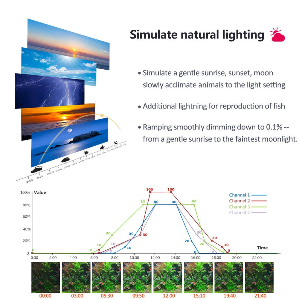 PopBloom Professional Planted  - Planted Aquarium Freshwater incelemesi ve fiyatı