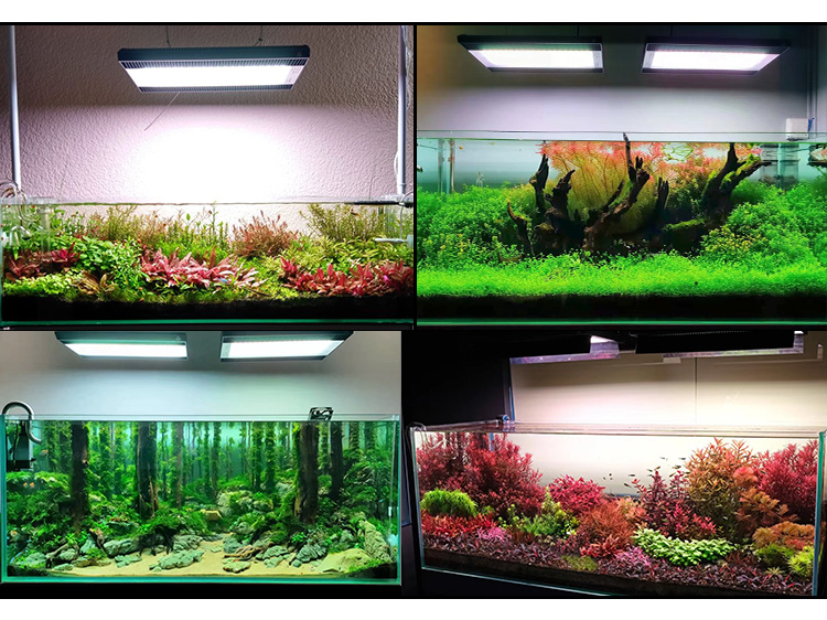 WEEK AQUA A430Pro LED Aquarium - Planted Aquarium Aquascape incelemesi ve fiyatı