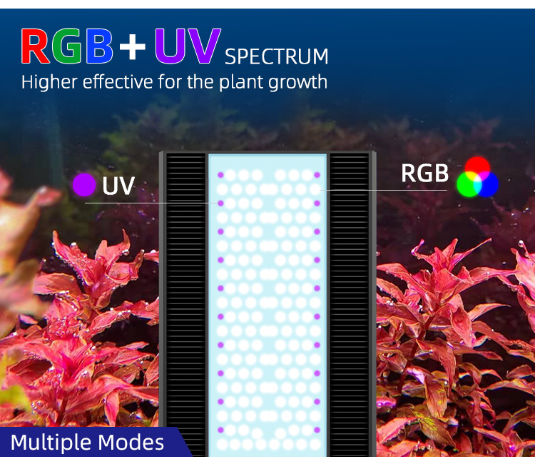 WEEK AQUA A430Pro LED Aquarium - Planted Aquarium Aquascape incelemesi ve fiyatı