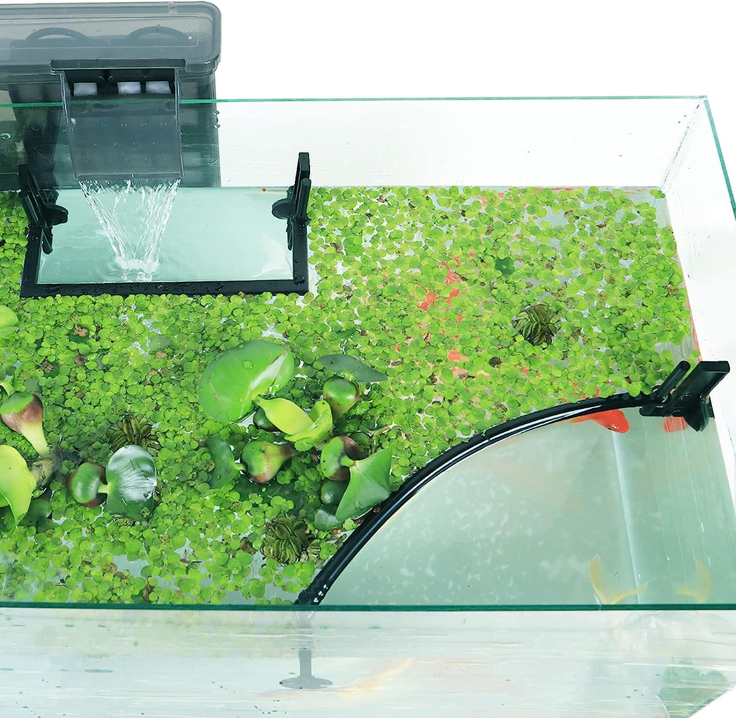 Aquarium Floating Plant Corral - Planted Aquarium Heater incelemesi ve fiyatı
