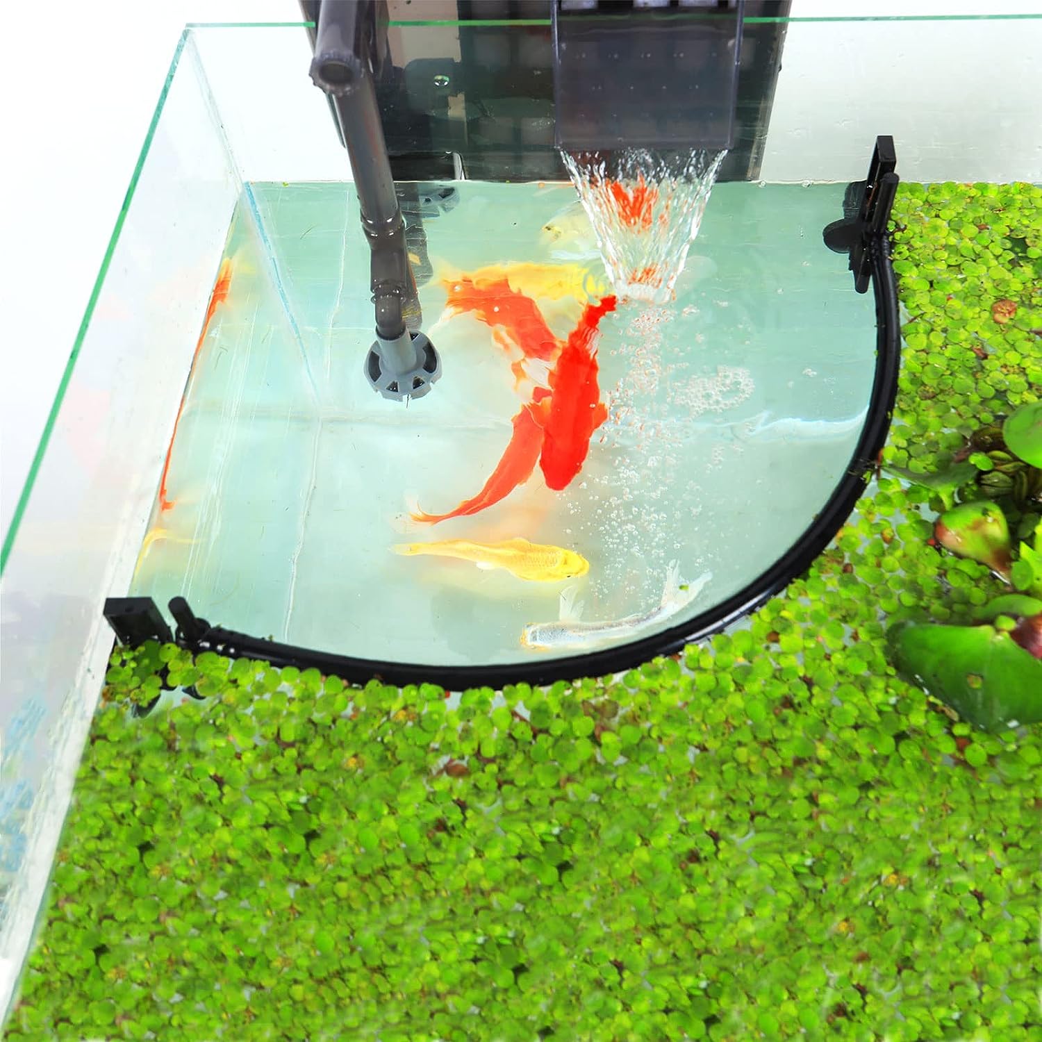 Aquarium Floating Plant Corral - Planted Aquarium Heater incelemesi ve fiyatı