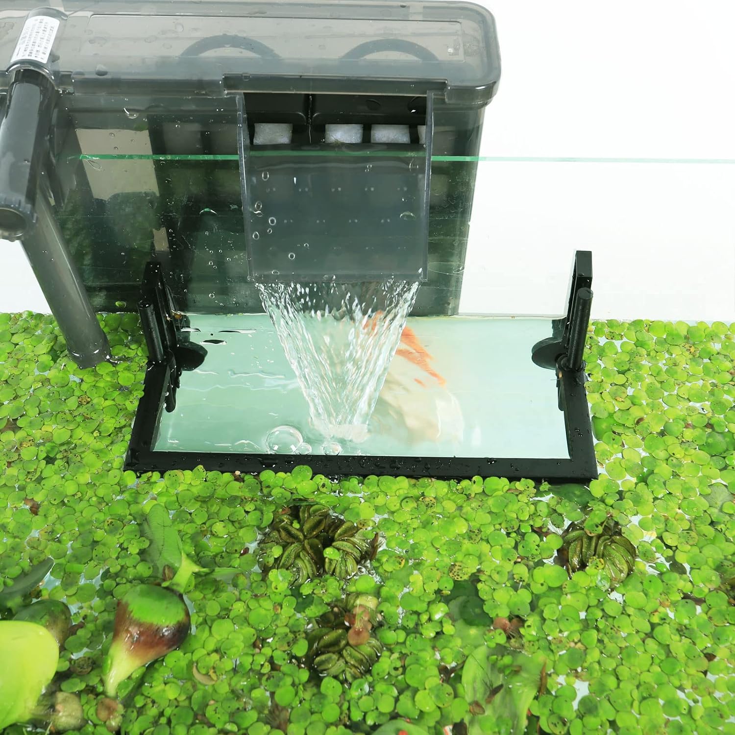 Aquarium Floating Plant Corral - Planted Aquarium Heater incelemesi ve fiyatı