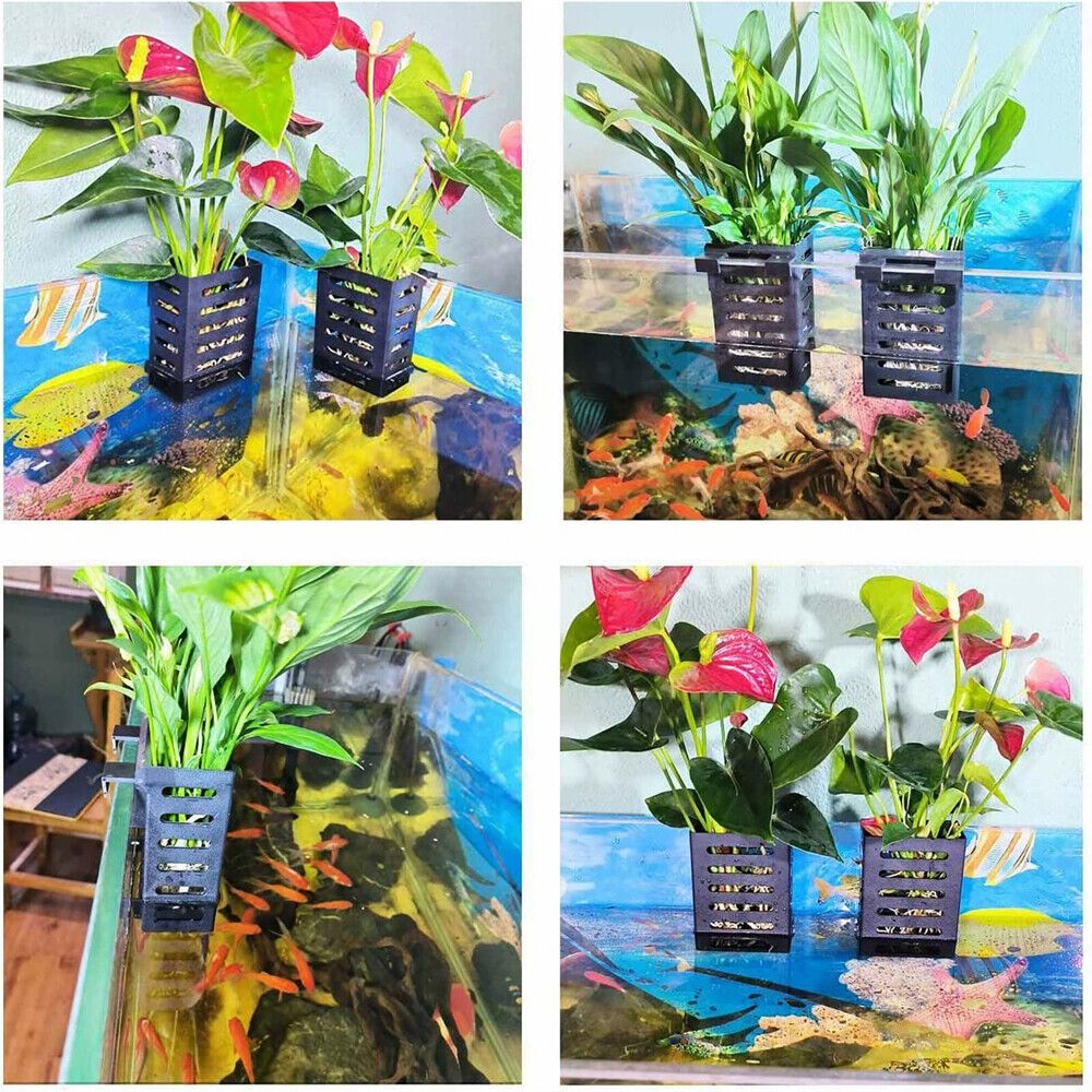 Aquarium Fish Tank Plant Holde - Emersed Plants Aquarium incelemesi ve fiyatı