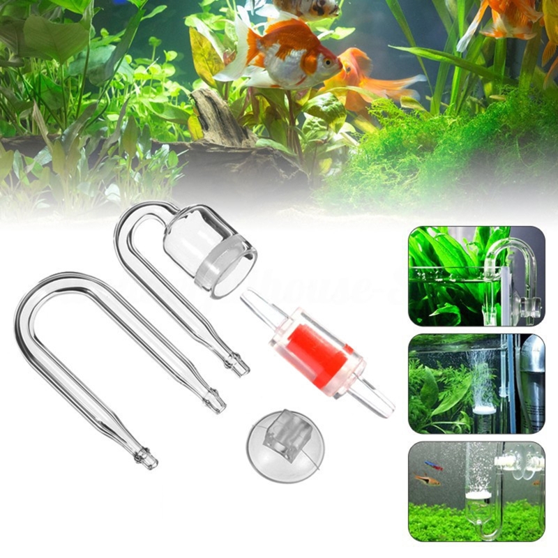 4pcs Set DIY CO2 Diffuser For  - Aquarium Plant Echinodorus incelemesi ve fiyatı