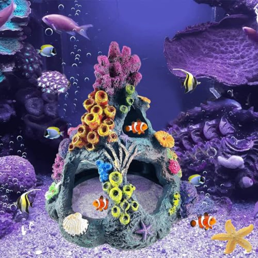 Fish Tank Decoration Set, Aqua - Planted Aquarium For Betta incelemesi ve fiyatı