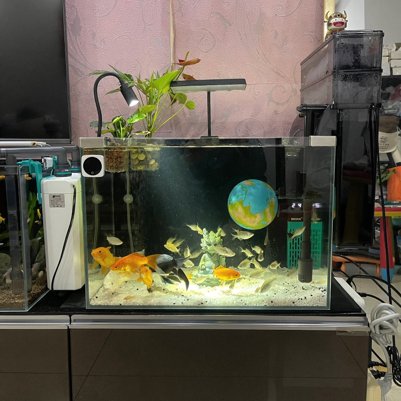 Planet Series Fish Tank Hiding - Aquarium Planet incelemesi ve fiyatı