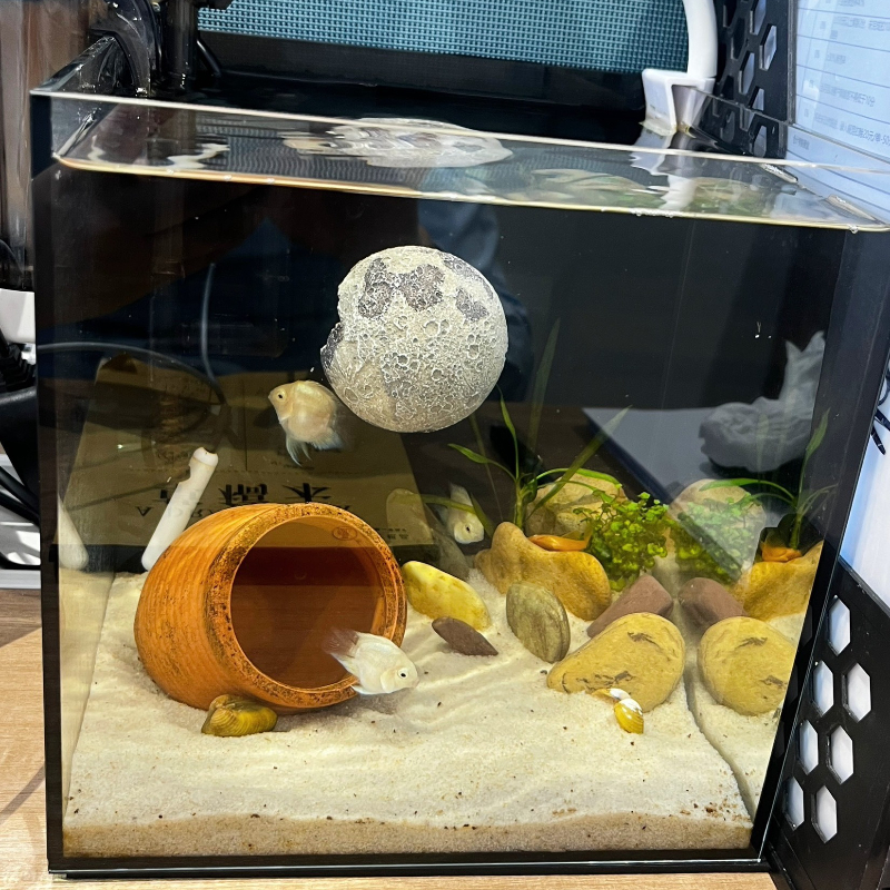 Planet Series Fish Tank Hiding - Aquarium Planet incelemesi ve fiyatı