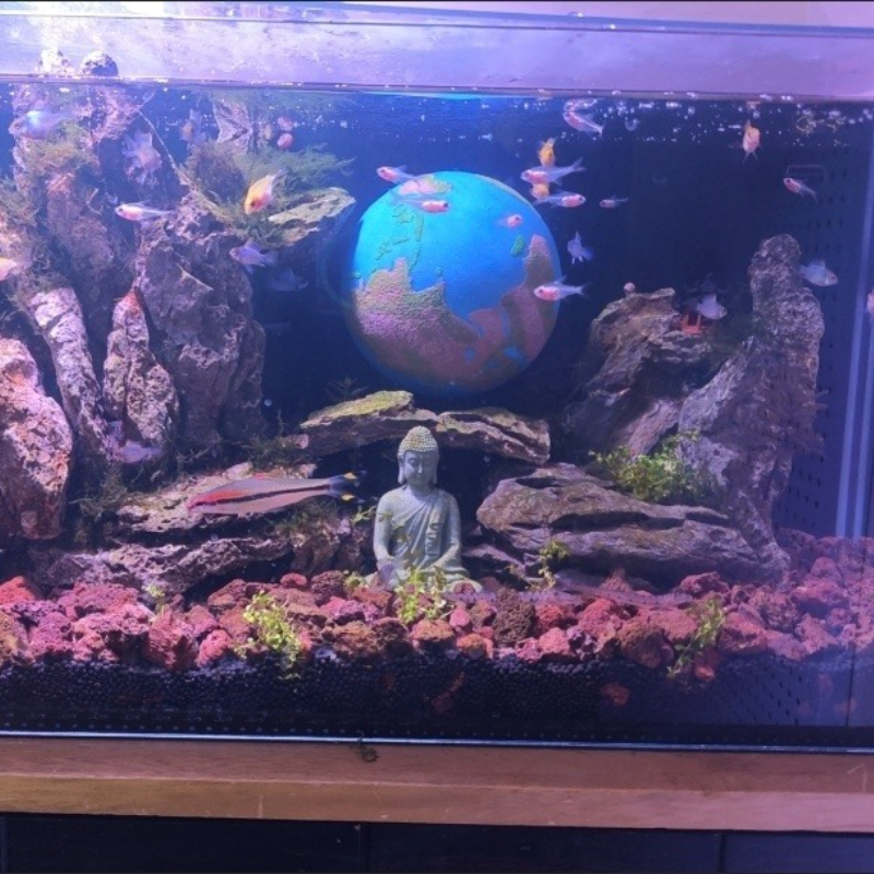 Planet Series Fish Tank Hiding - Aquarium Planet incelemesi ve fiyatı