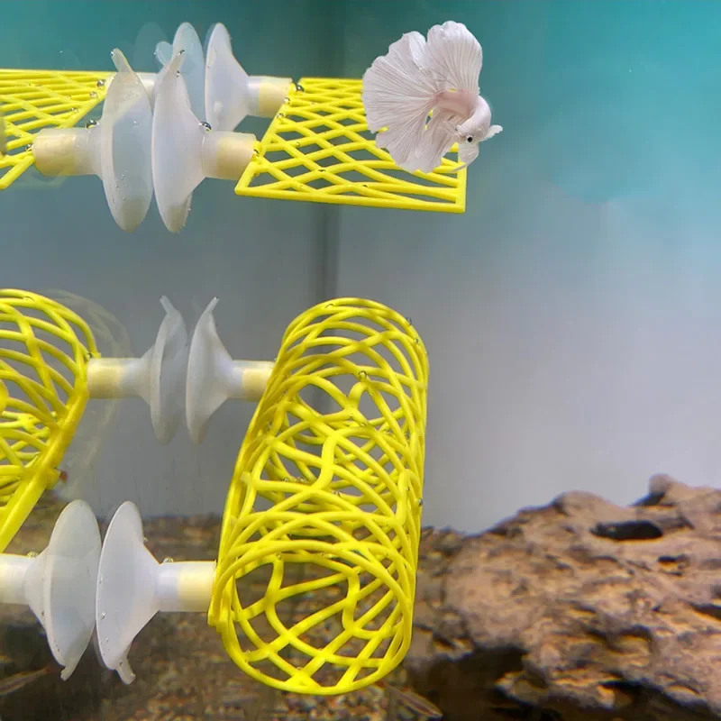 Plastic Fish Tank Aquarium Art - Planted Aquarium For Betta incelemesi ve fiyatı
