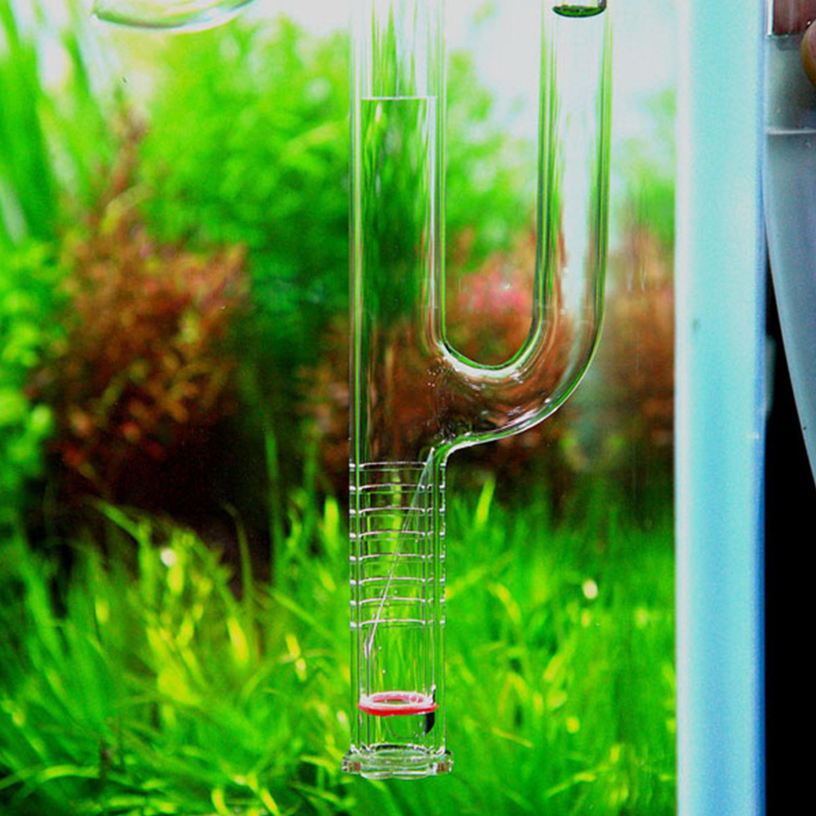 Aquatic Plant Glass Lily Tube  - Planted Aquarium Youtube incelemesi ve fiyatı