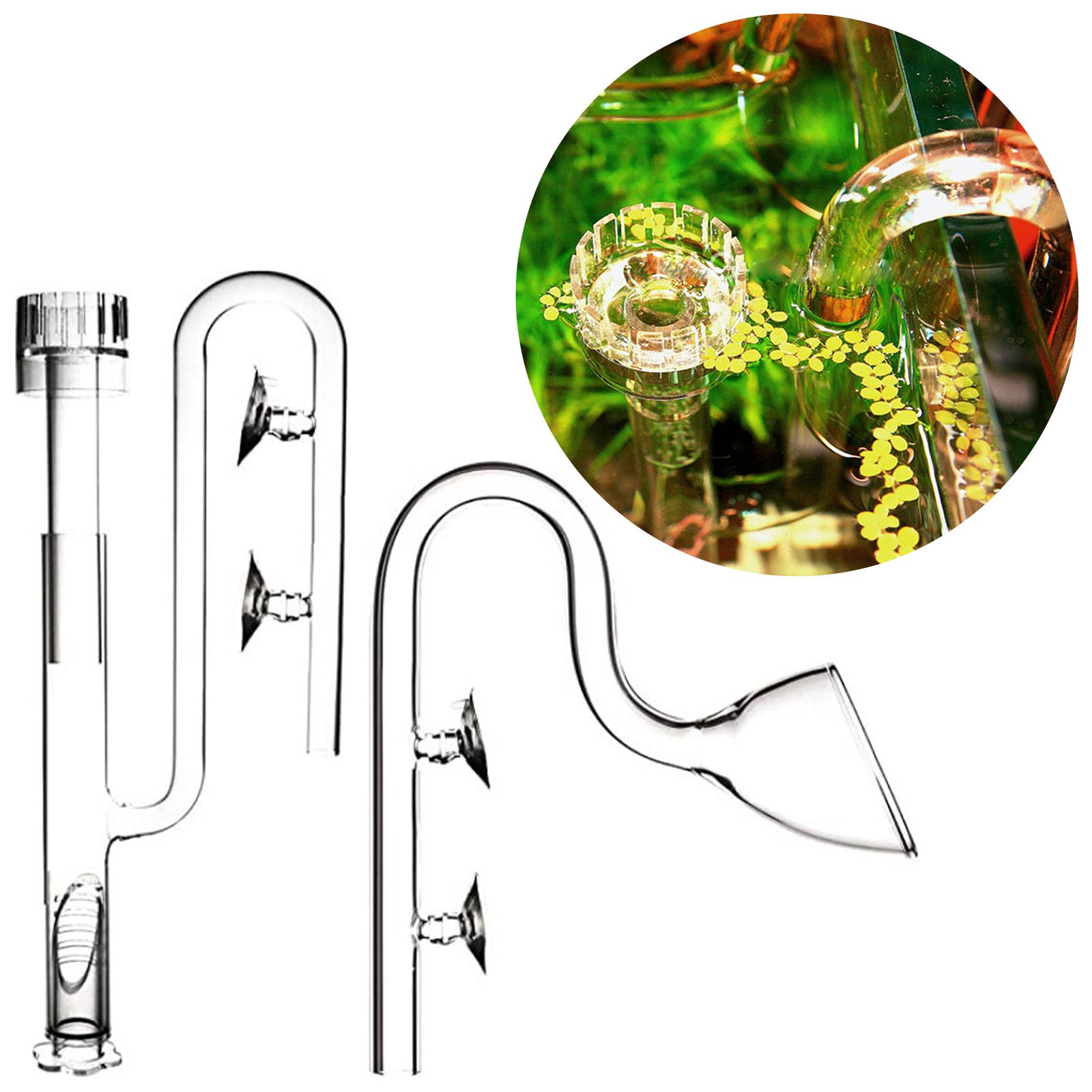 Aquatic Plant Glass Lily Tube  - Planted Aquarium Youtube incelemesi ve fiyatı