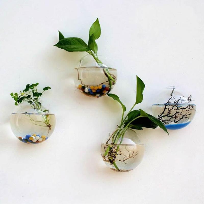 Creative Wall Mounted Glass Va - Aquarium Plant Echinodorus incelemesi ve fiyatı