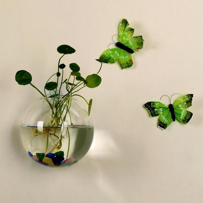 Creative Wall Mounted Glass Va - Aquarium Plant Echinodorus incelemesi ve fiyatı