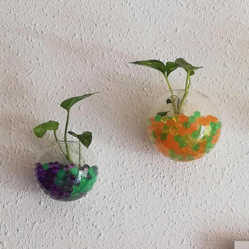 Creative Wall Mounted Glass Va - Aquarium Plant Echinodorus incelemesi ve fiyatı