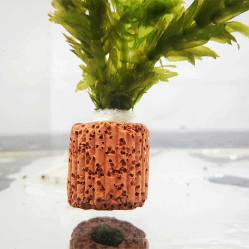 QX2E Paottery Aquariums Plant  - Emersed Plants Aquarium incelemesi ve fiyatı