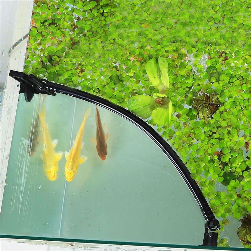 A24F-Aquarium Floating Plant C - Planted Aquarium Heater incelemesi ve fiyatı