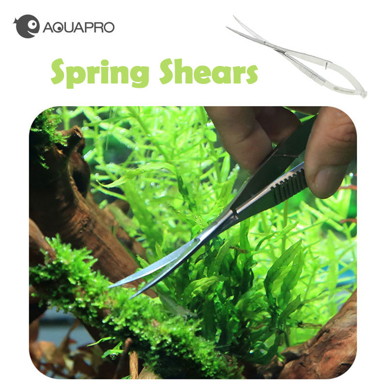 Stainless Steel Curved Straigh - Planted Aquarium Aquascape incelemesi ve fiyatı
