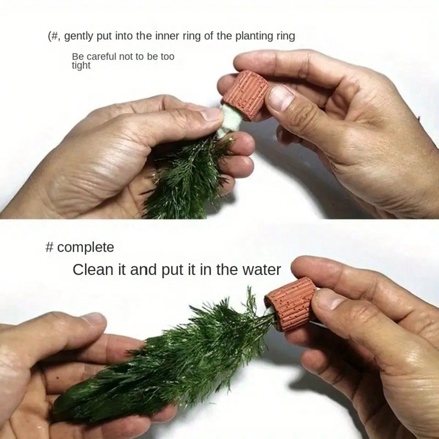 High   Quality Aquarium Plant  - Planted Aquarium Aquascape incelemesi ve fiyatı