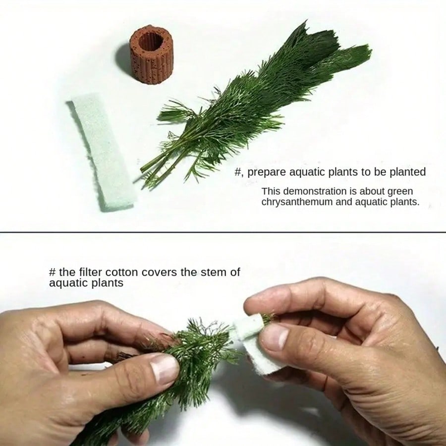 High   Quality Aquarium Plant  - Planted Aquarium Aquascape incelemesi ve fiyatı