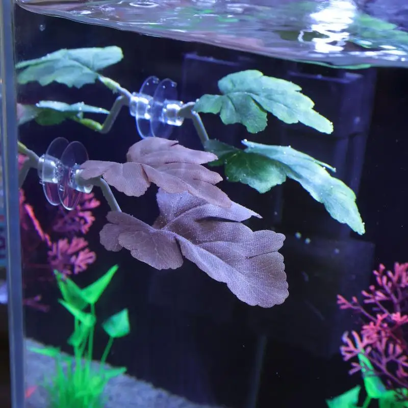 Betta Fish Leaf Hammock Aquari - Planted Aquarium For Betta incelemesi ve fiyatı