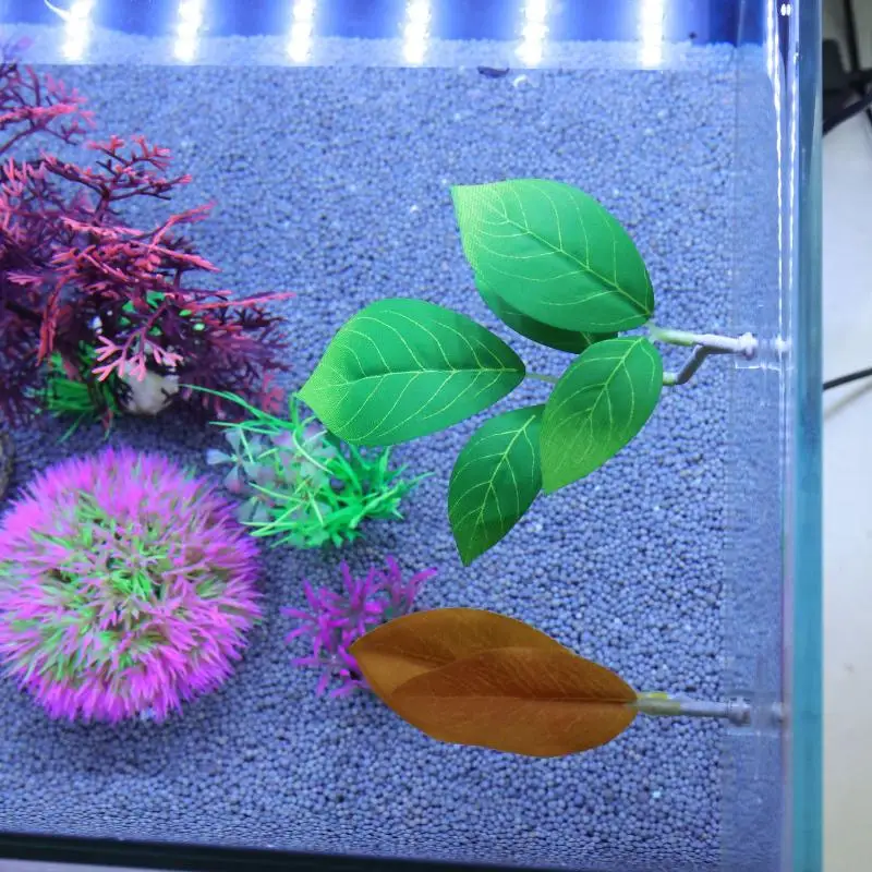 Betta Fish Leaf Hammock Aquari - Planted Aquarium For Betta incelemesi ve fiyatı