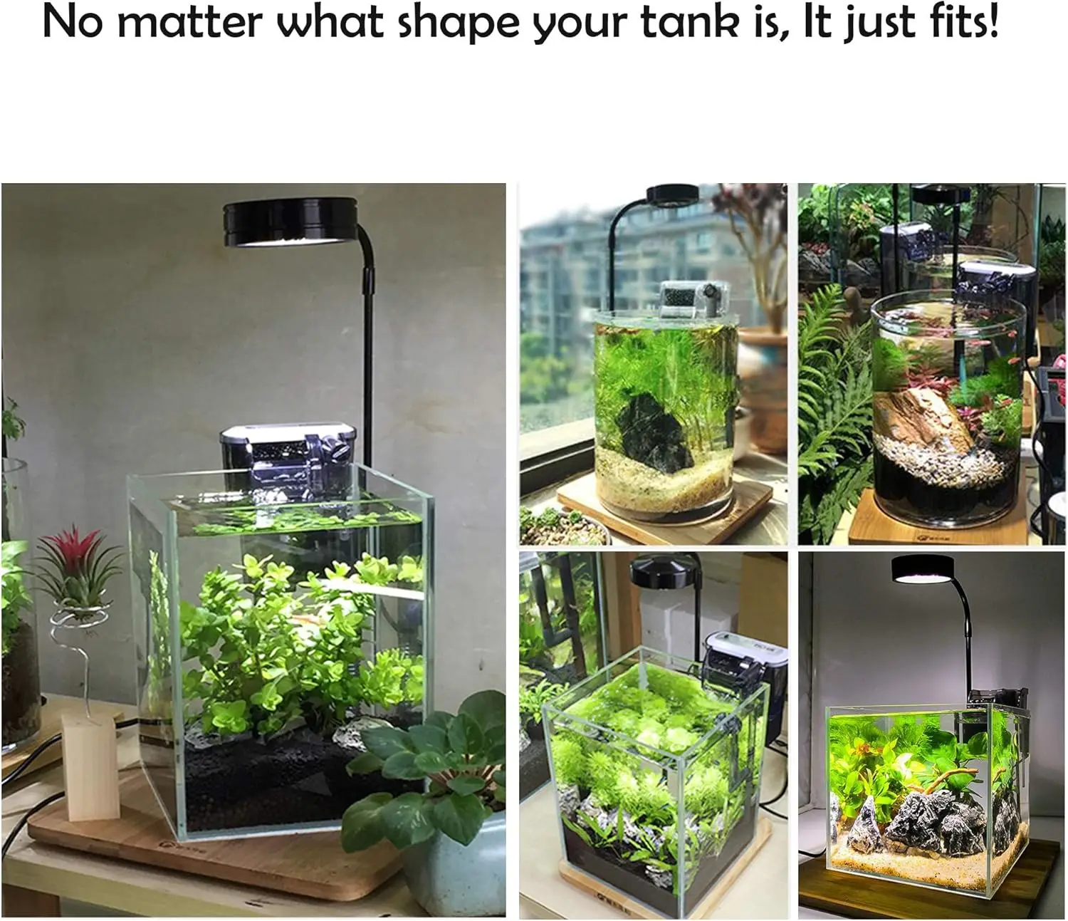LED Aquarium Grow Light with B - Planted Aquarium For Betta incelemesi ve fiyatı