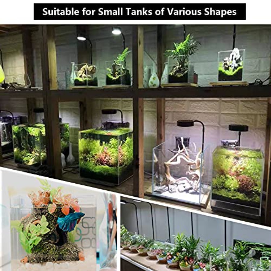 Aquarium Light Full Spectrum L - Planted Aquarium For Betta incelemesi ve fiyatı