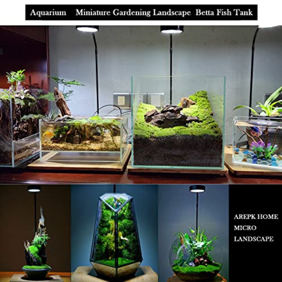 Aquarium Light Full Spectrum L - Planted Aquarium For Betta incelemesi ve fiyatı